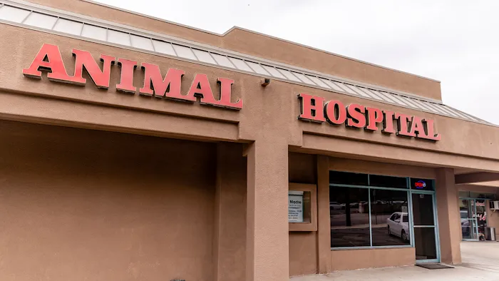 Sierra Madre Animal Hospital 10