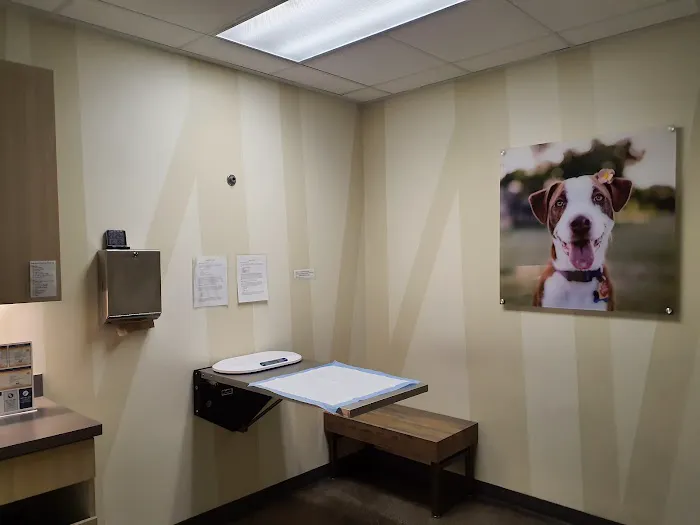 Vetco Total Care Animal Hospital 1