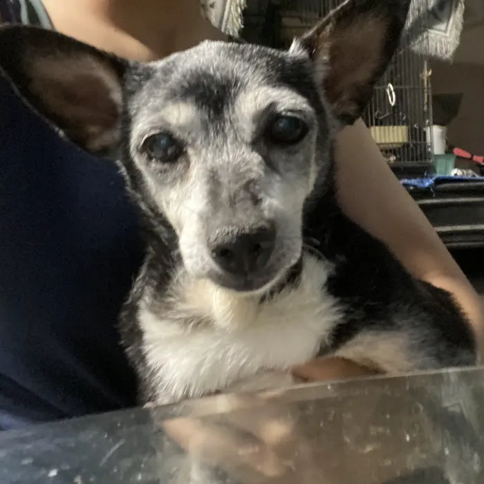 Vetco Total Care Animal Hospital 4