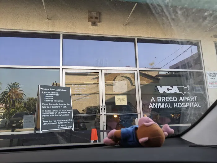 VCA A Breed Apart Animal Hospital 3