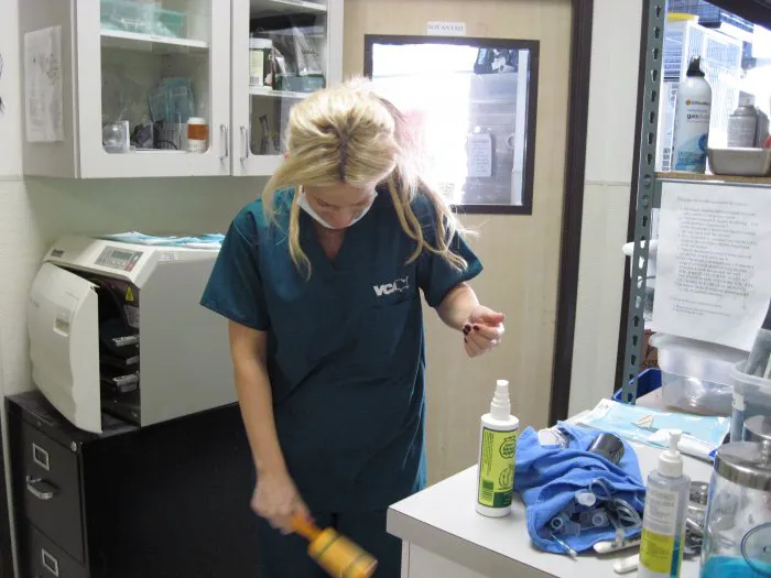 VCA A Breed Apart Animal Hospital 7