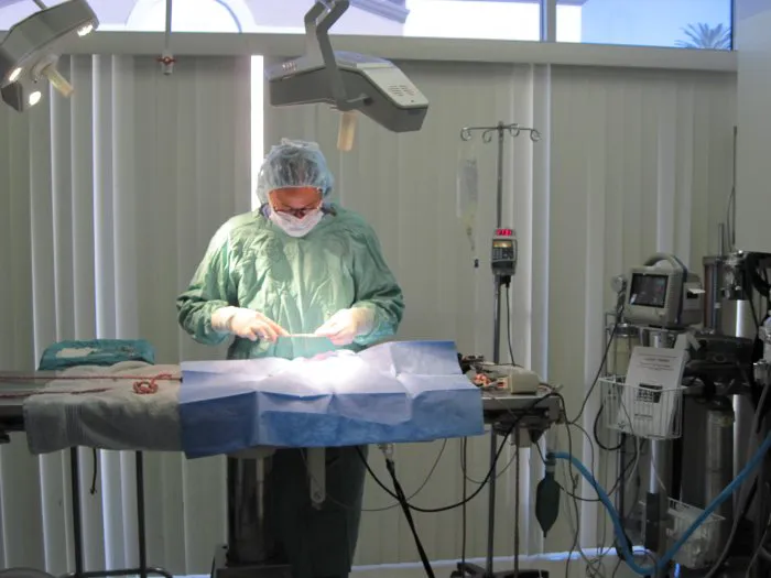 VCA A Breed Apart Animal Hospital 2