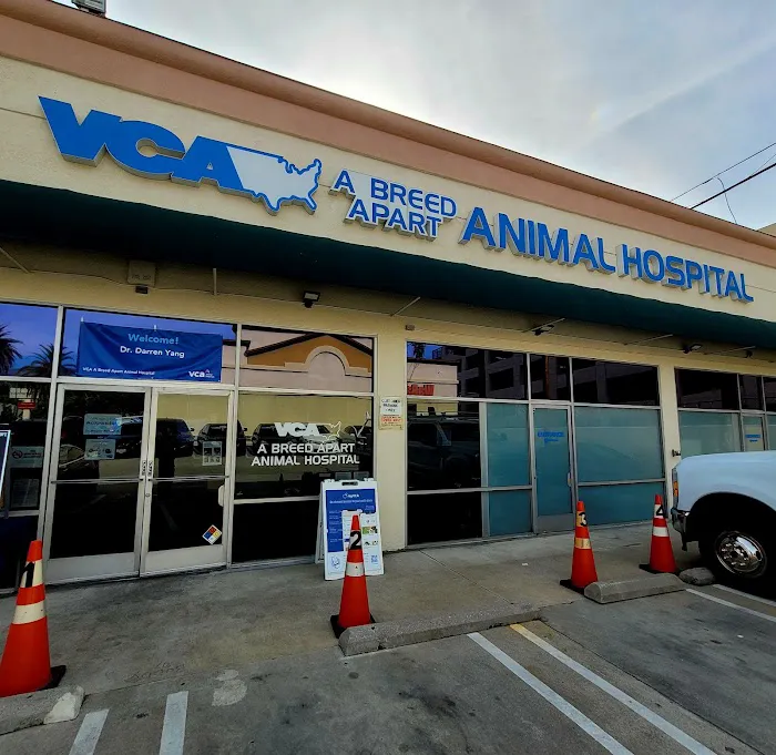 VCA A Breed Apart Animal Hospital 1