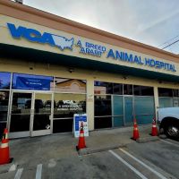 VCA A Breed Apart Animal Hospital ico