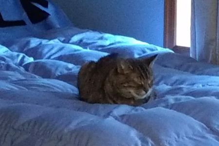 Smokey Point Animal Hospital