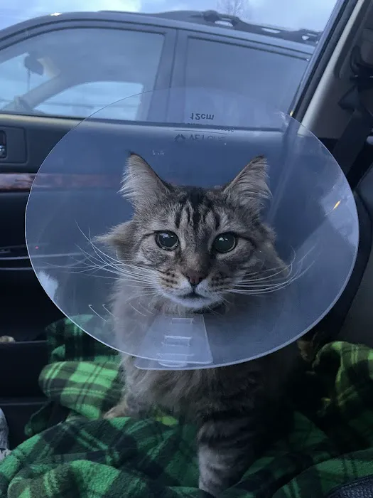 Advanced Care Animal Clinic 12