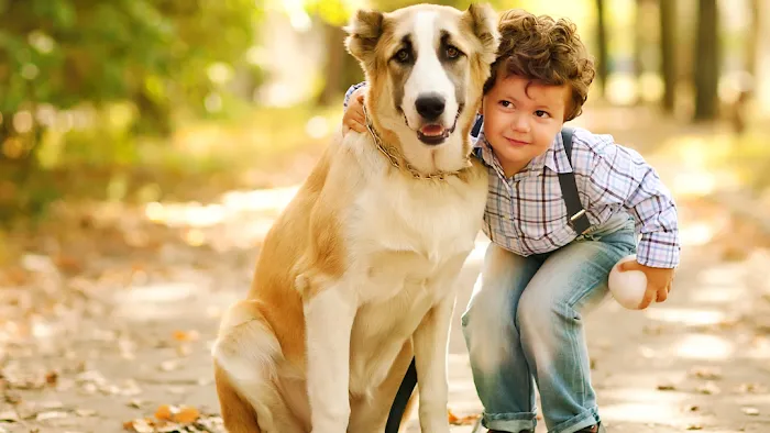 Family Pet Medical & Surgery 12