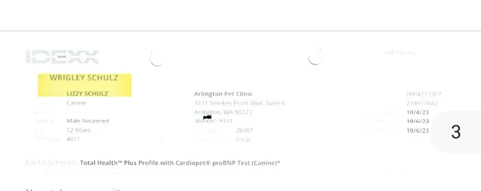 Arlington Pet Clinic 12