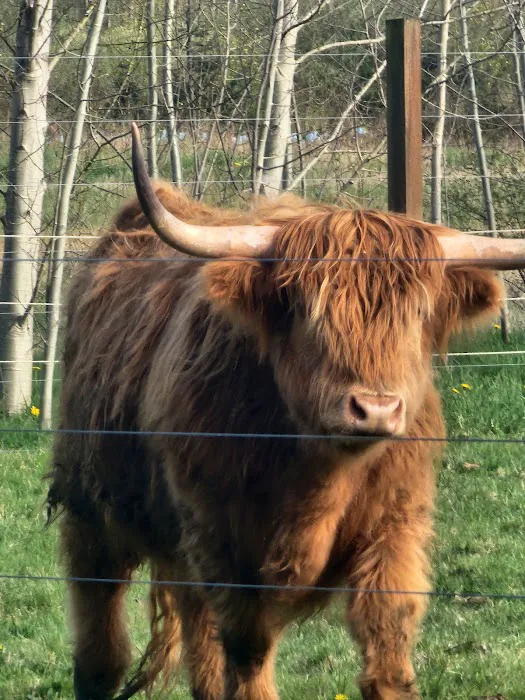 Arlington Veterinary Hospital 12