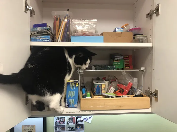Oak Bay Animal Hospital 2