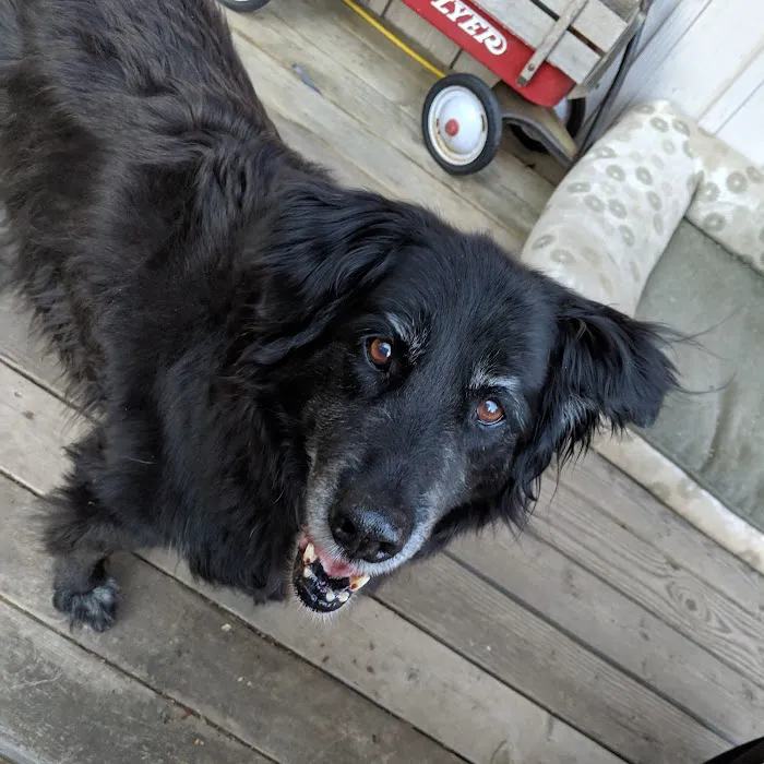 HADLOCK VETERINARY CLINIC 10