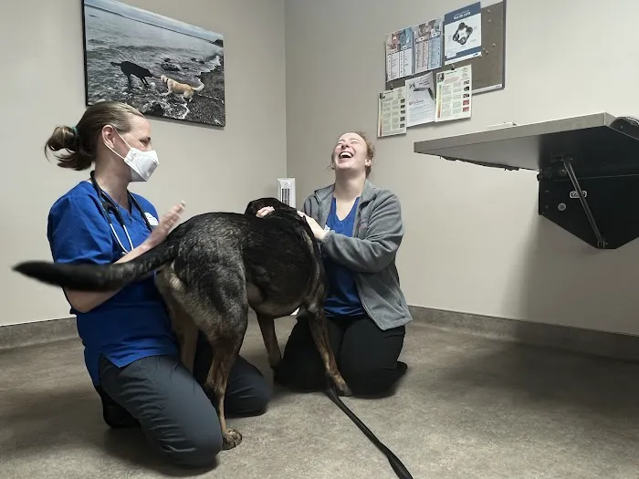 Chimacum Valley Veterinary: Nathan Robert DVM 1