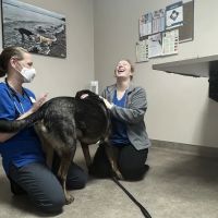 Chimacum Valley Veterinary: Nathan Robert DVM ico