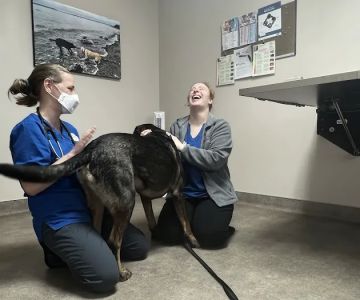 Chimacum Valley Veterinary: Nathan Robert DVM