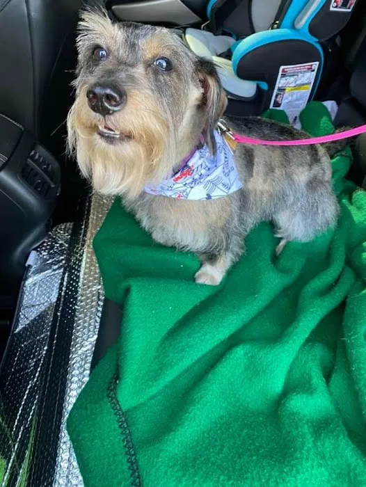 Doggie duds and suds cg LLC 6