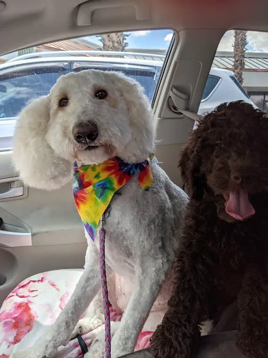 Doggie duds and suds cg LLC 3