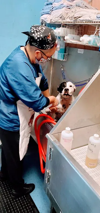 Doggie duds and suds cg LLC 9
