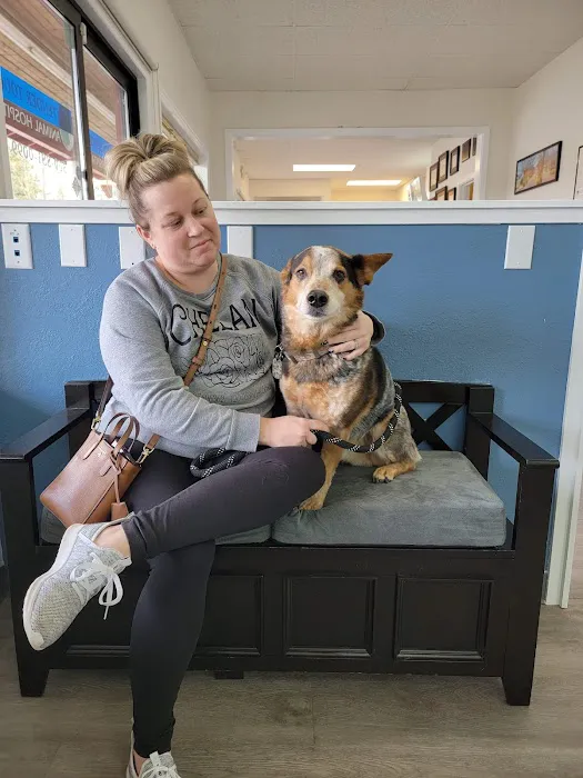 Tender Touch Animal Hospital 1