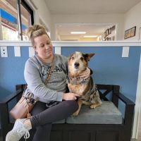 Tender Touch Animal Hospital ico