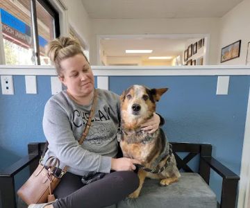 Tender Touch Animal Hospital