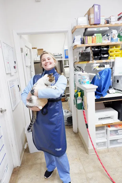 Tender Touch Animal Hospital 2
