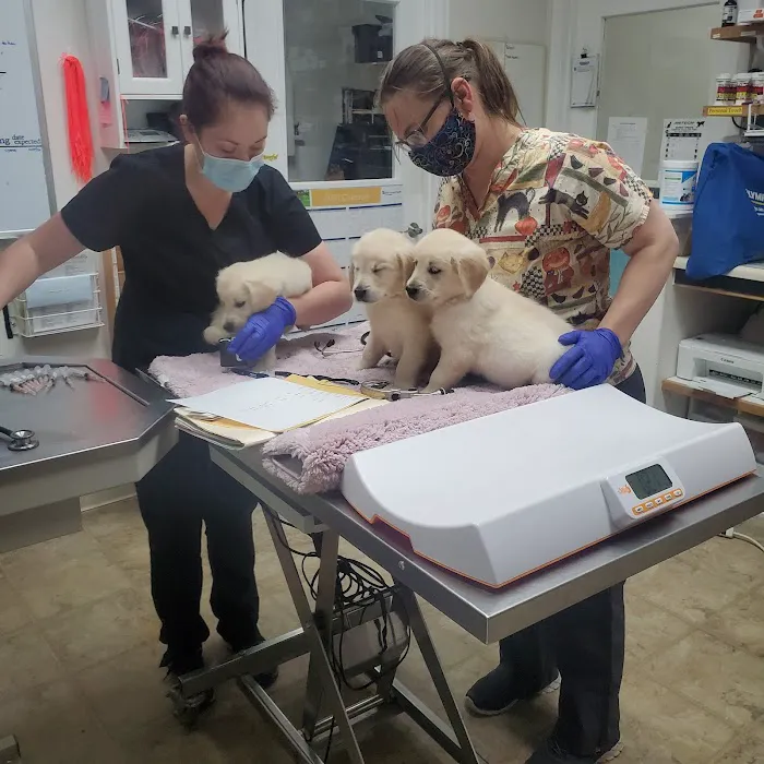 Tender Touch Animal Hospital 10