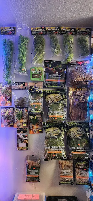 Unique Aquariums 5
