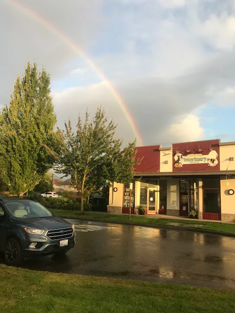 Snoqualmie Ridge Veterinary Hospital 5
