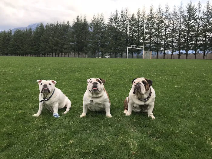 Salish Veterinary Hospital 2