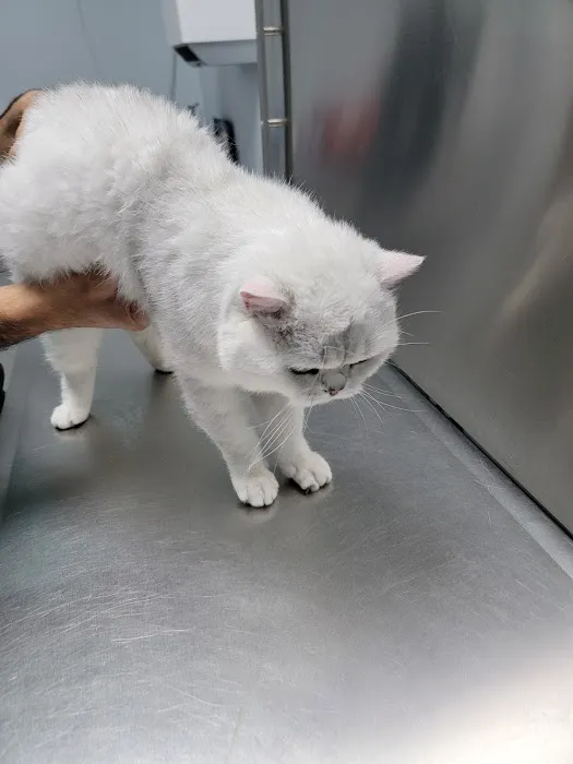 A Pet Clinic of Kent 6