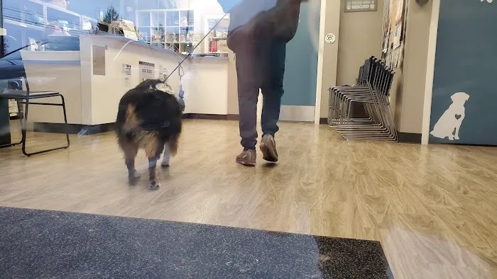 Lake Meridian Animal Hospital 4