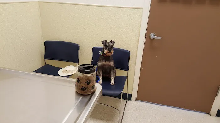 Lake Meridian Animal Hospital 6