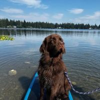 Reber Ranch Veterinary Hospital ico