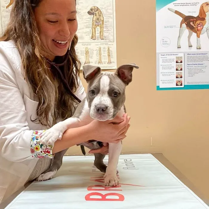 Reber Ranch Veterinary Hospital 7
