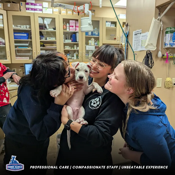 Reber Ranch Veterinary Hospital 10