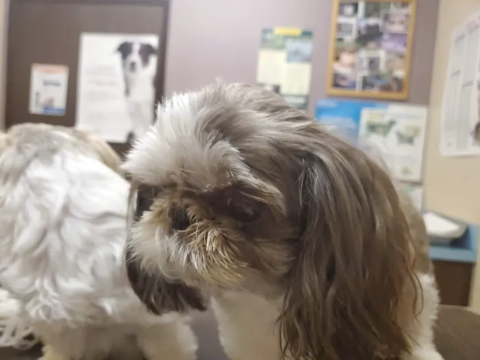 Green River Veterinary Hospital 7
