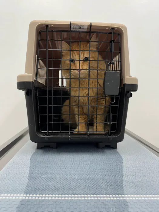 Green River Veterinary Hospital 2