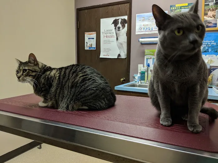 Green River Veterinary Hospital 9