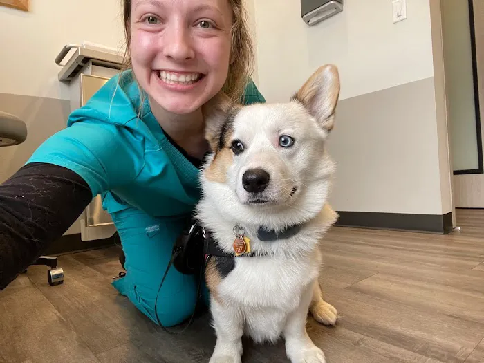 Mountainside Animal Hospital 12