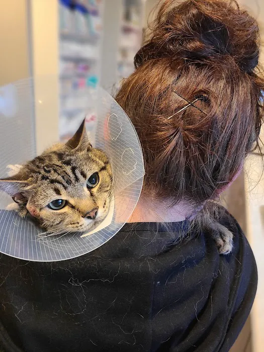 Mountainside Animal Hospital 12