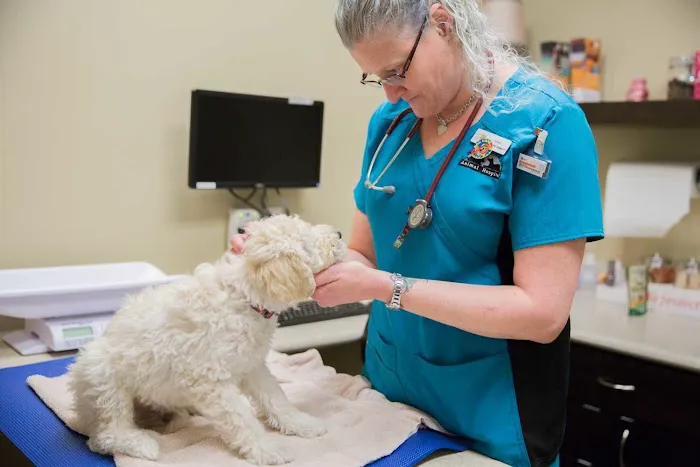 Wilderness Animal Hospital 12