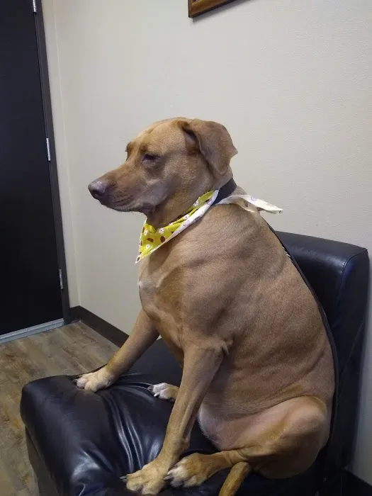 Wilderness Animal Hospital 12