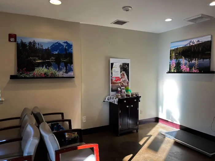 VCA Covington Animal Hospital 12