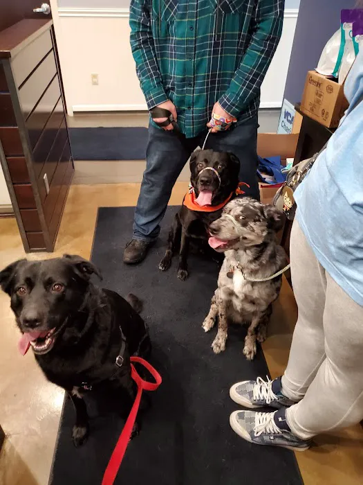 VCA Covington Animal Hospital 12