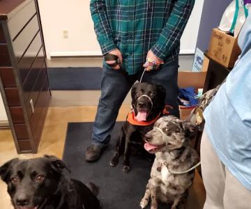 VCA Covington Animal Hospital