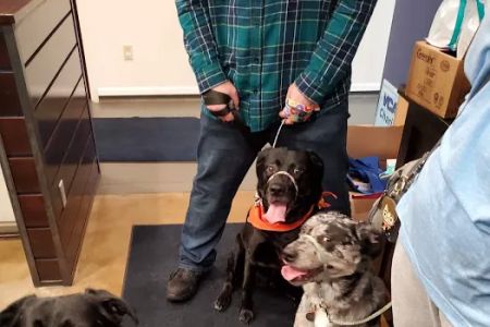 VCA Covington Animal Hospital
