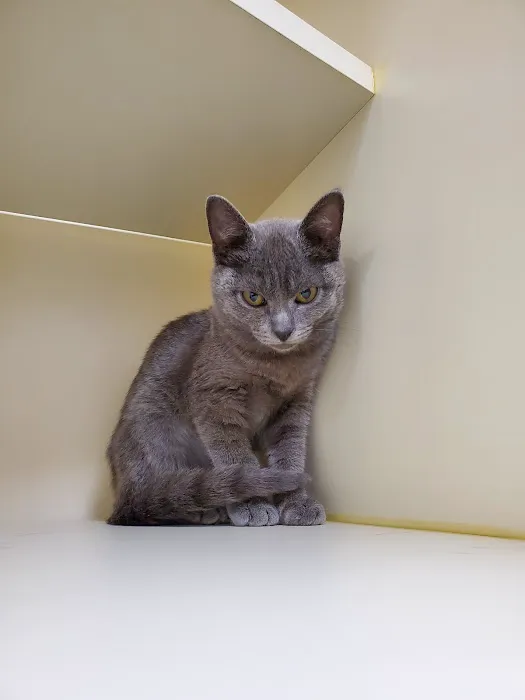 Sawyer Lake Veterinary Hospital 12