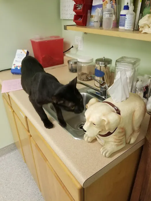 Sawyer Lake Veterinary Hospital 12