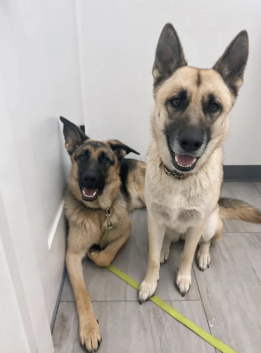 Animal Hospital of Maple Valley 10