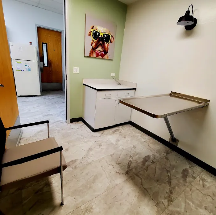 Animal Surgical & Dental Clinic 12